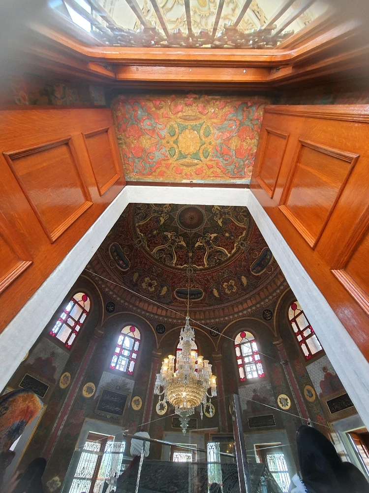 Image uploaded by Segota