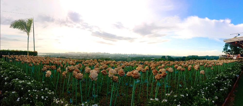 Image uploaded by Jeca