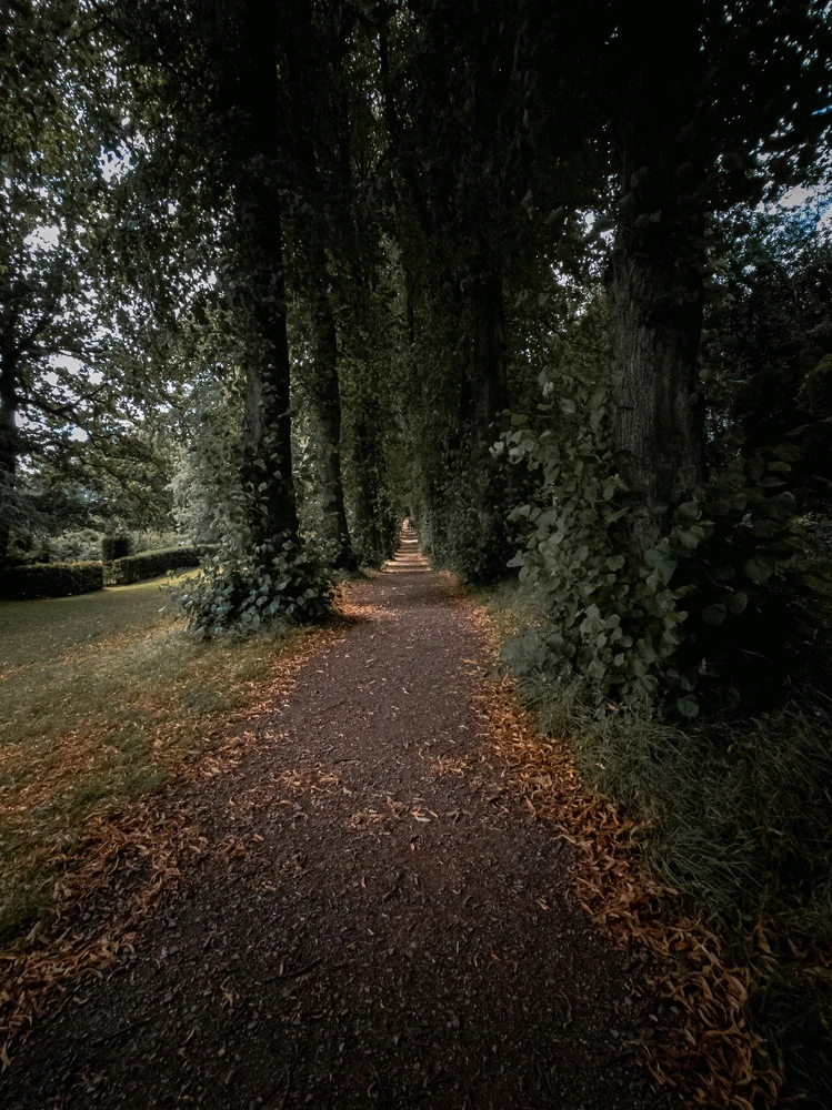 Image uploaded by Vul