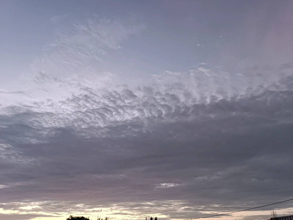 Фото загрузил Soru