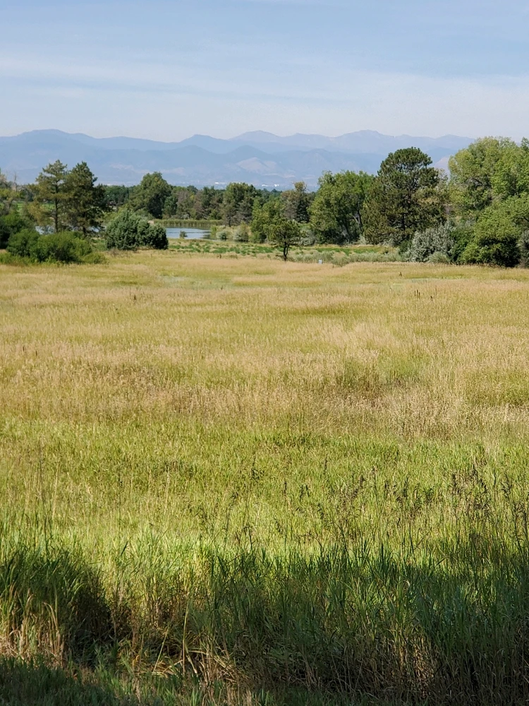 Gambar diunggah dening Jacqueline