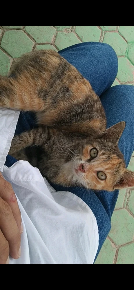 Gambar diunggah oleh Bie Bie