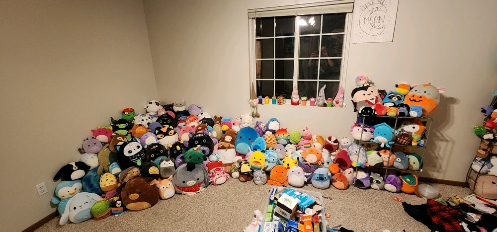 My squish finally got their own room!