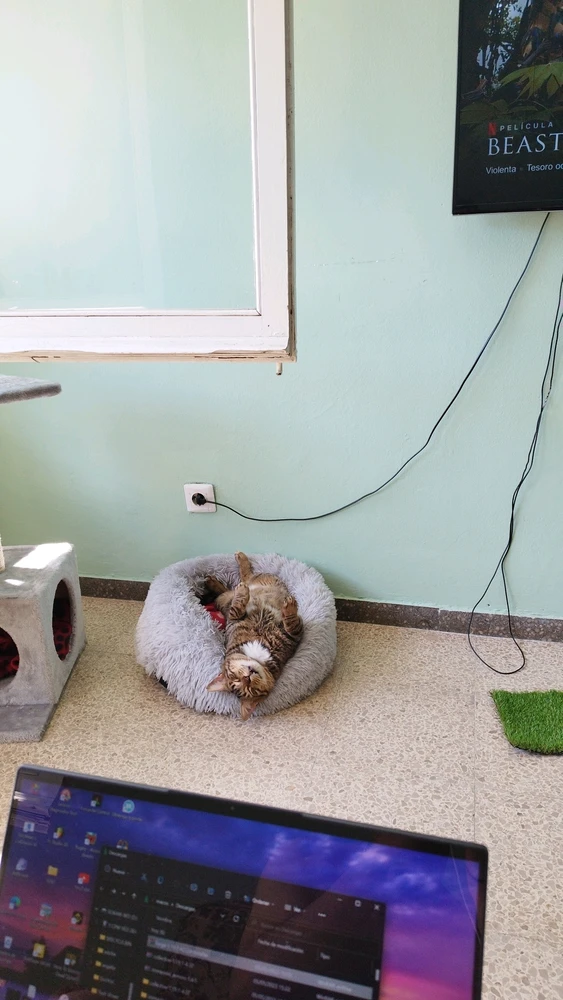 Imagen subida por Marcos