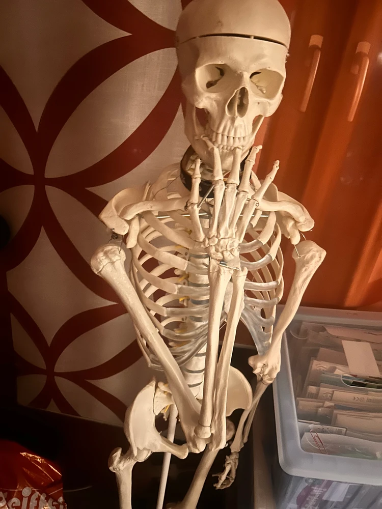 Bild hochgeladen von L