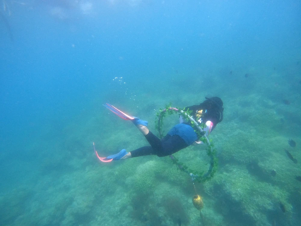 #freediving #swimming #ocean #beach #snorkling