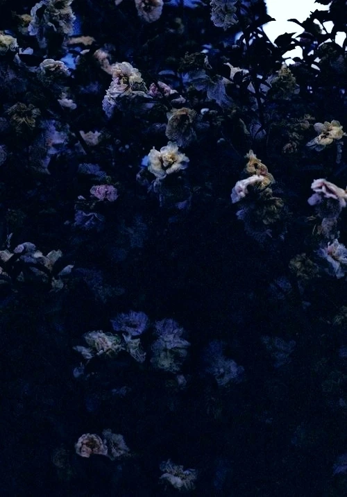 Сейчас я чувствую себя экстравертом, через пару минут я потеряю не только это чувство, но и мысль.