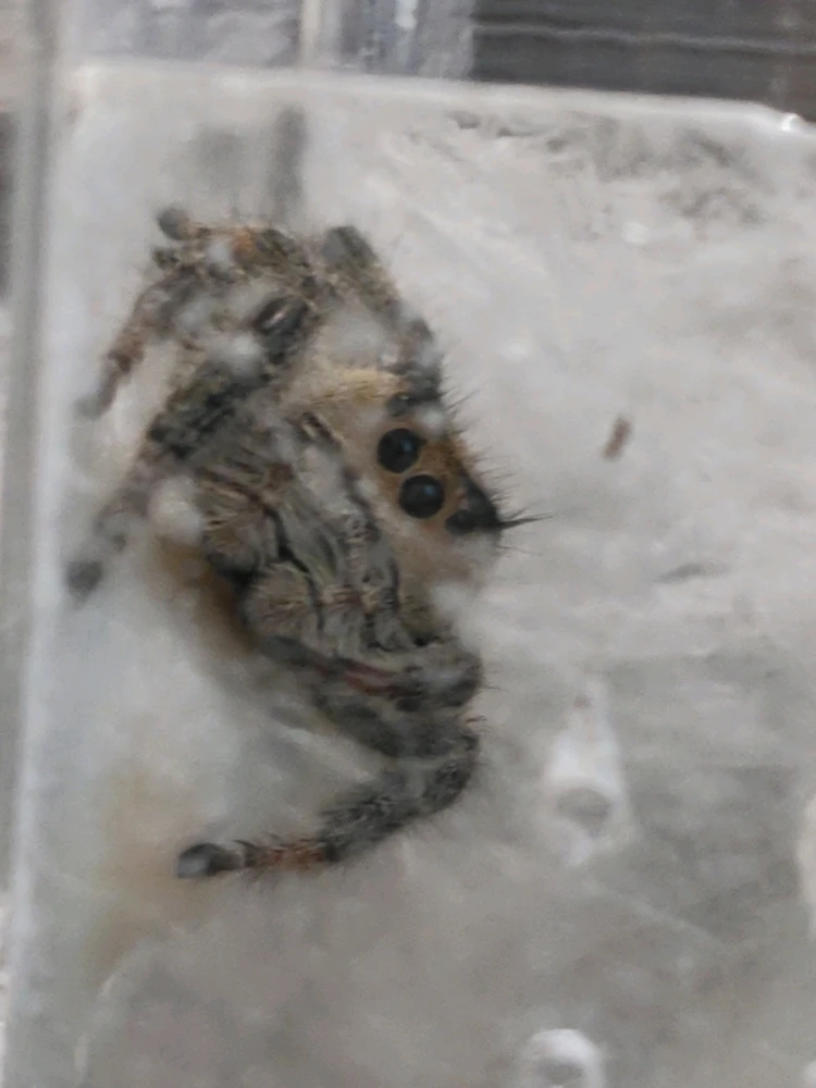 Image uploaded by Maivy huynh