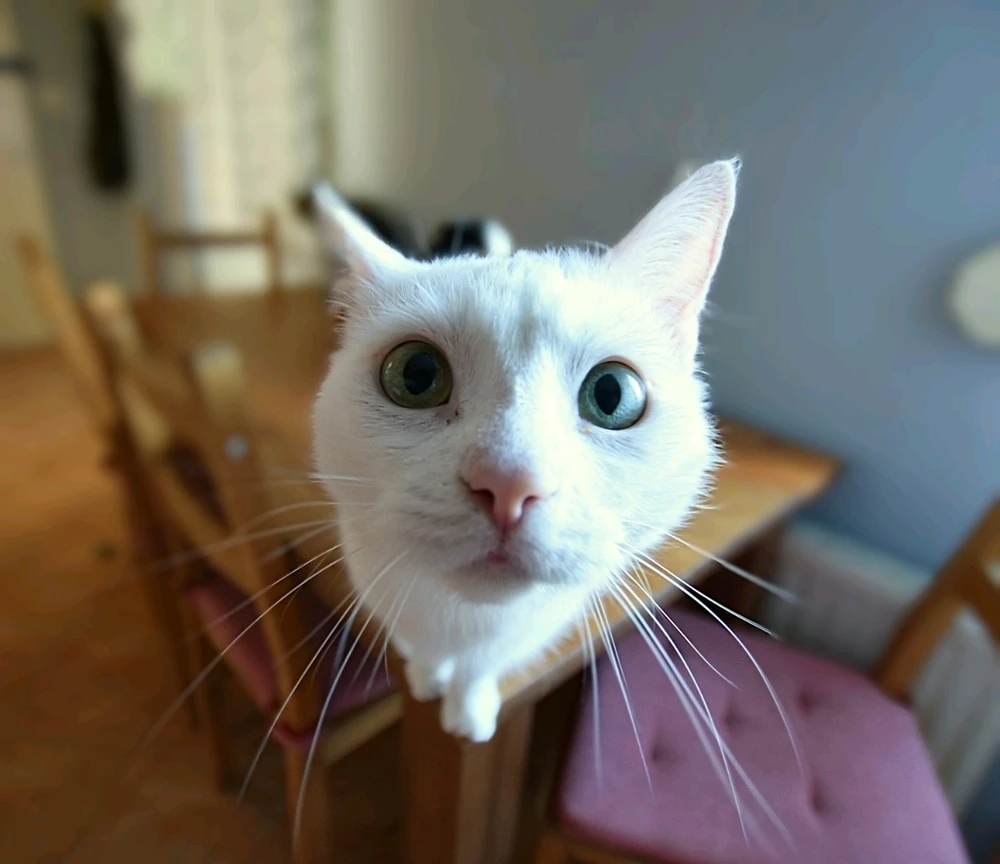 Zdjęcie dodane przez Konrad