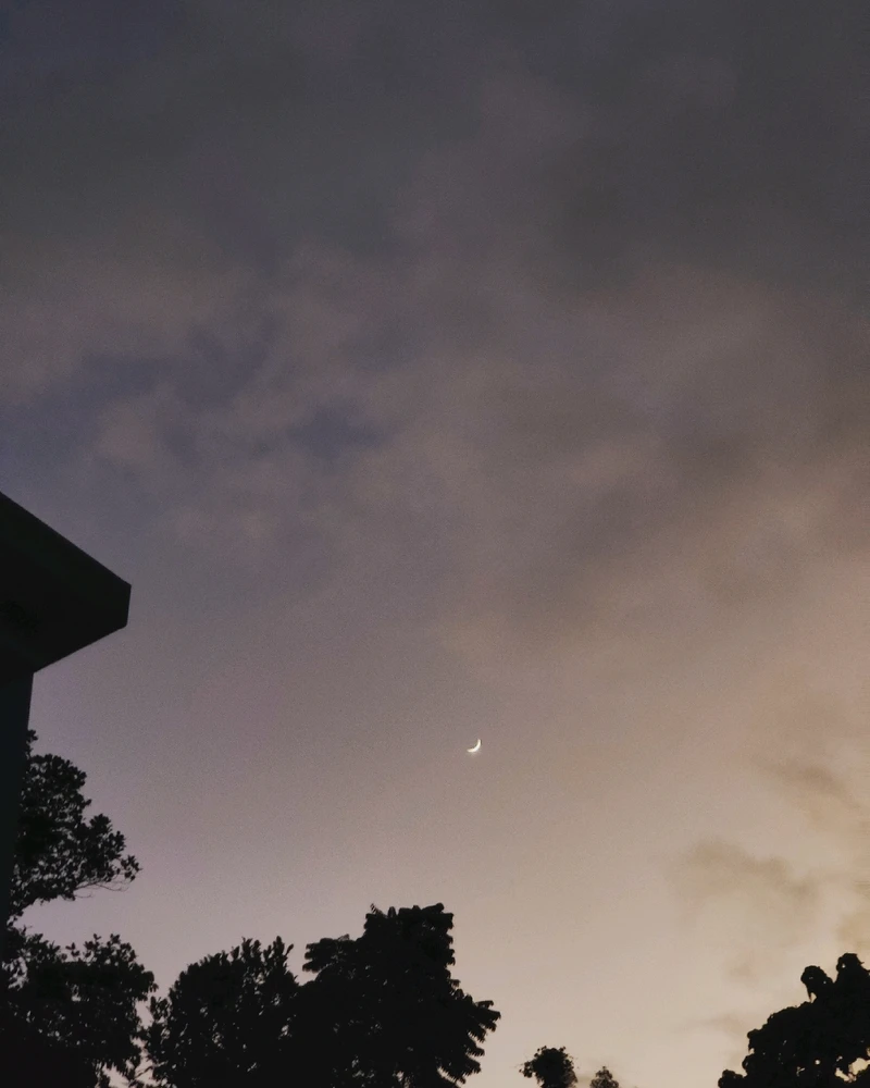 Geevarghese അപ്‌ലോഡ് ചെയ്ത ചിത്രം