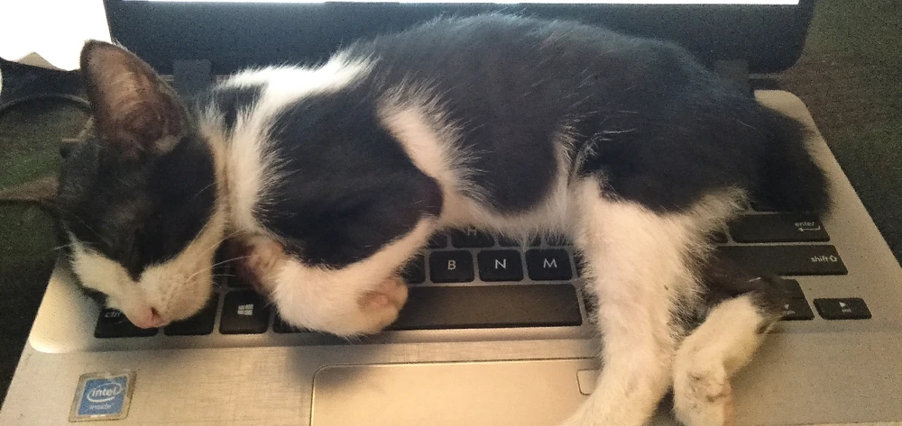 Image uploaded by Alme