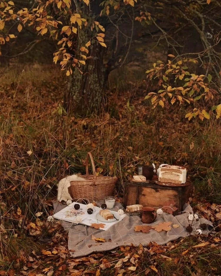 Image uploaded by Vanessa