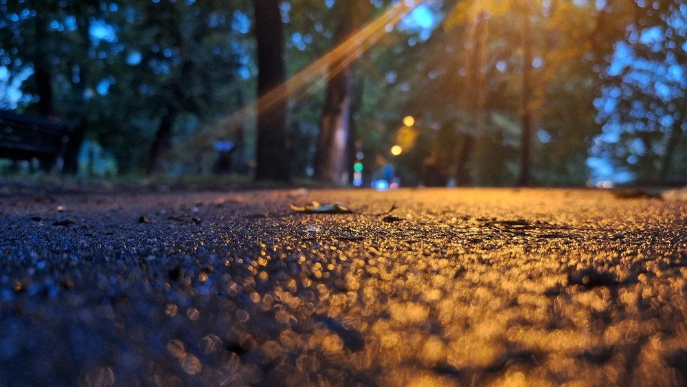 Zdjęcie dodane przez Michał