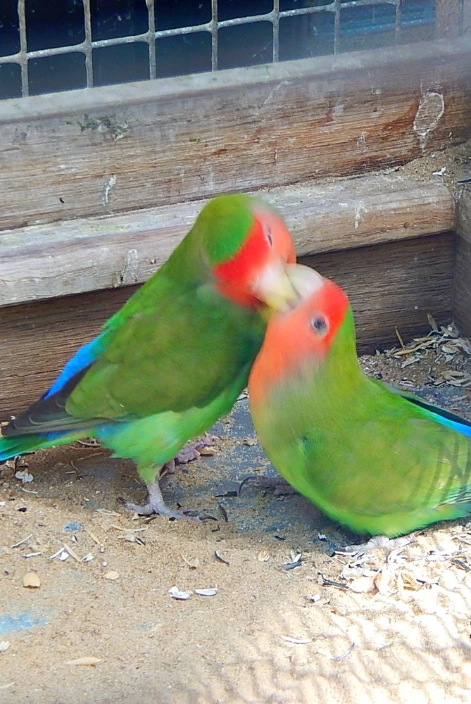 Image ajoutée par Katja