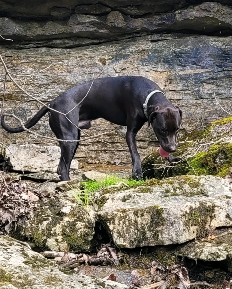 Image uploaded by Angel🌲