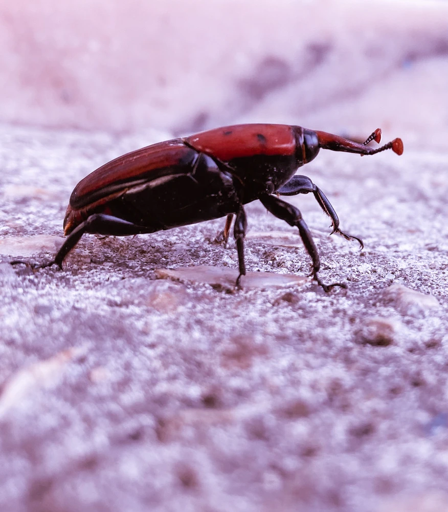 Imagem enviada por Bruno