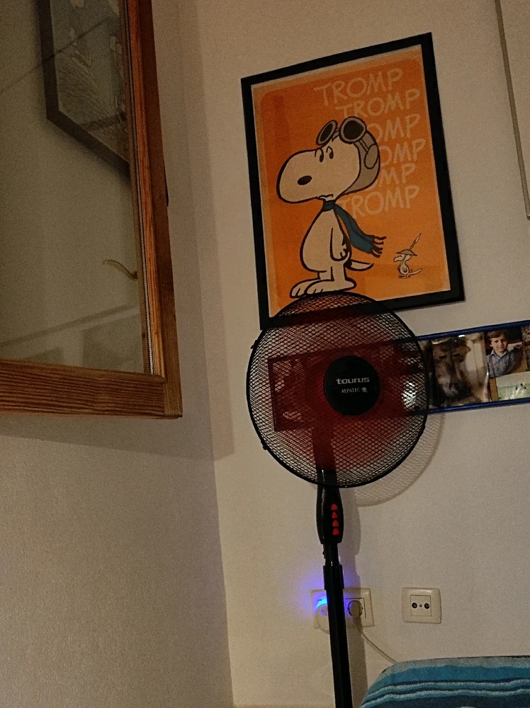 Immagine caricata da Giulia