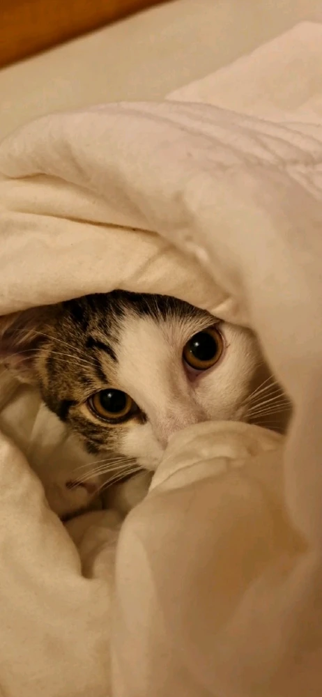 Bild hochgeladen von Alexandra