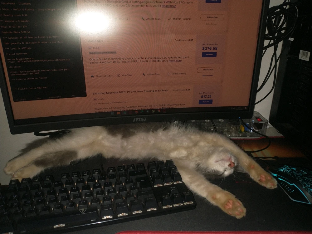 Imagem enviada por Gabriel