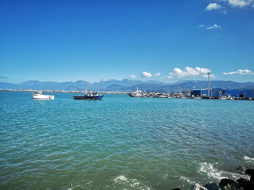 Image uploaded by Karim