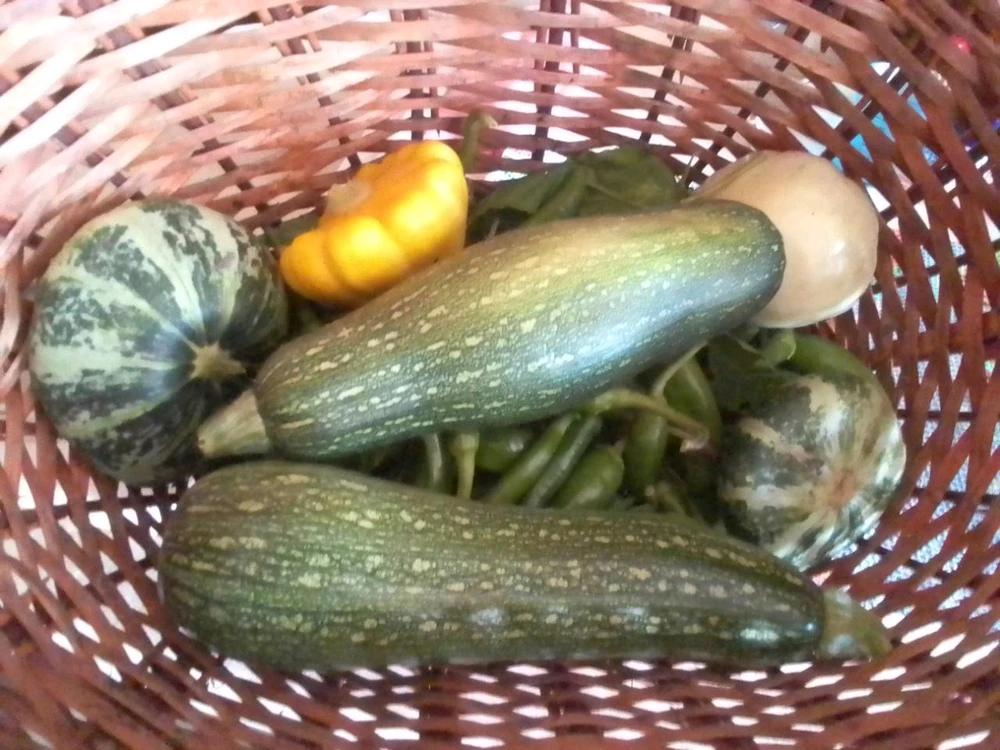 Фото загрузил Lilia🌻Лилия🇷🇺