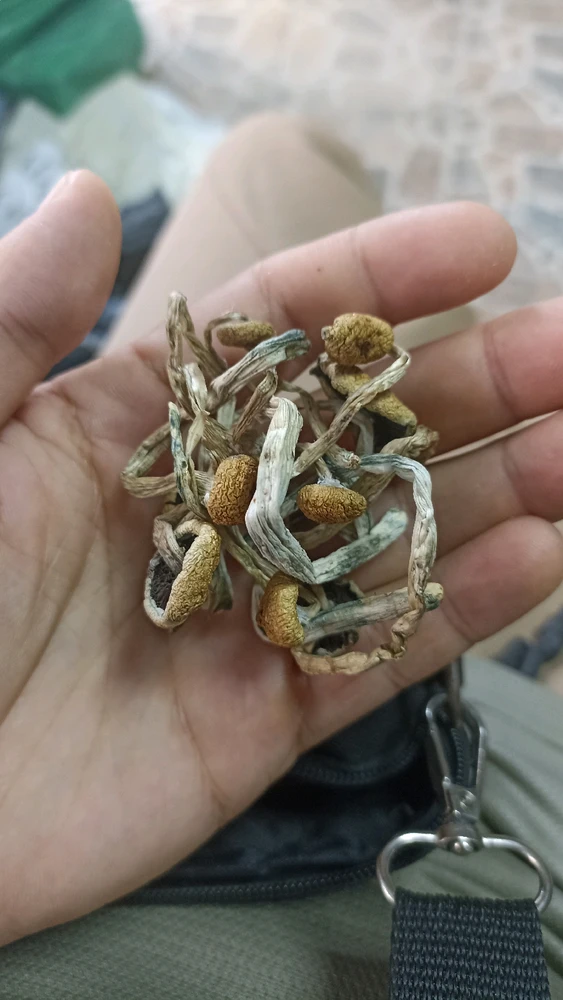 Oktay tarafından yüklenen görsel