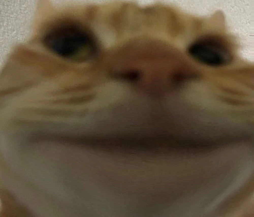 Whats the most underated, least know game you’ve played and liked? Mine is Starbound. :)