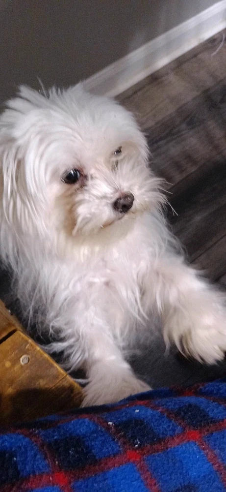 Tim님이 올린 사진