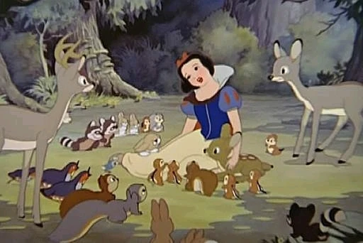 Image uploaded by Rachel