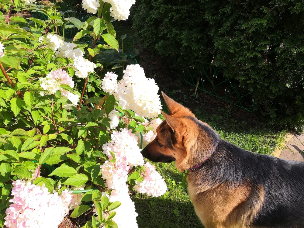 Фото загрузил Lilia🌻Лилия🇷🇺