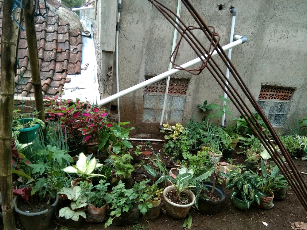 Gambar diunggah oleh Ai Nelis Herrera