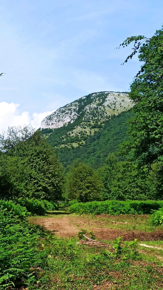 Imatge pujada per Danny