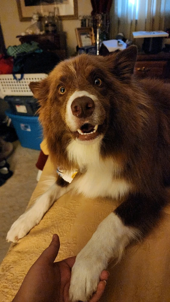 Image uploaded by Rachel