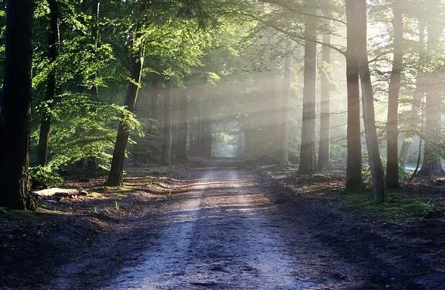 Imagen subida por Mario