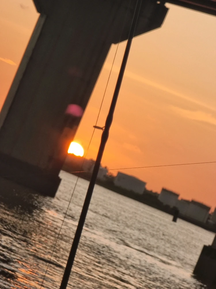 Image uploaded by WalterRead