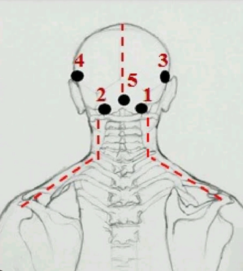 Image uploaded by Jenny