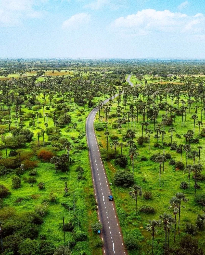 Image uploaded by Jan said