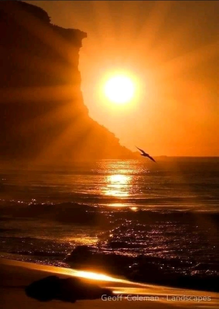 Imagem enviada por ¸¸.·♩♪♫ PAULO FRESKO ♫♪♩·.¸¸.·