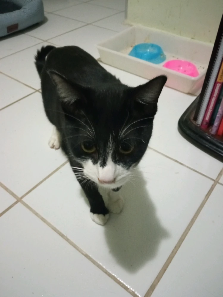 Image uploaded by Noah