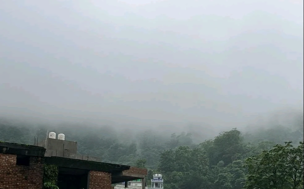 Image uploaded by Indu