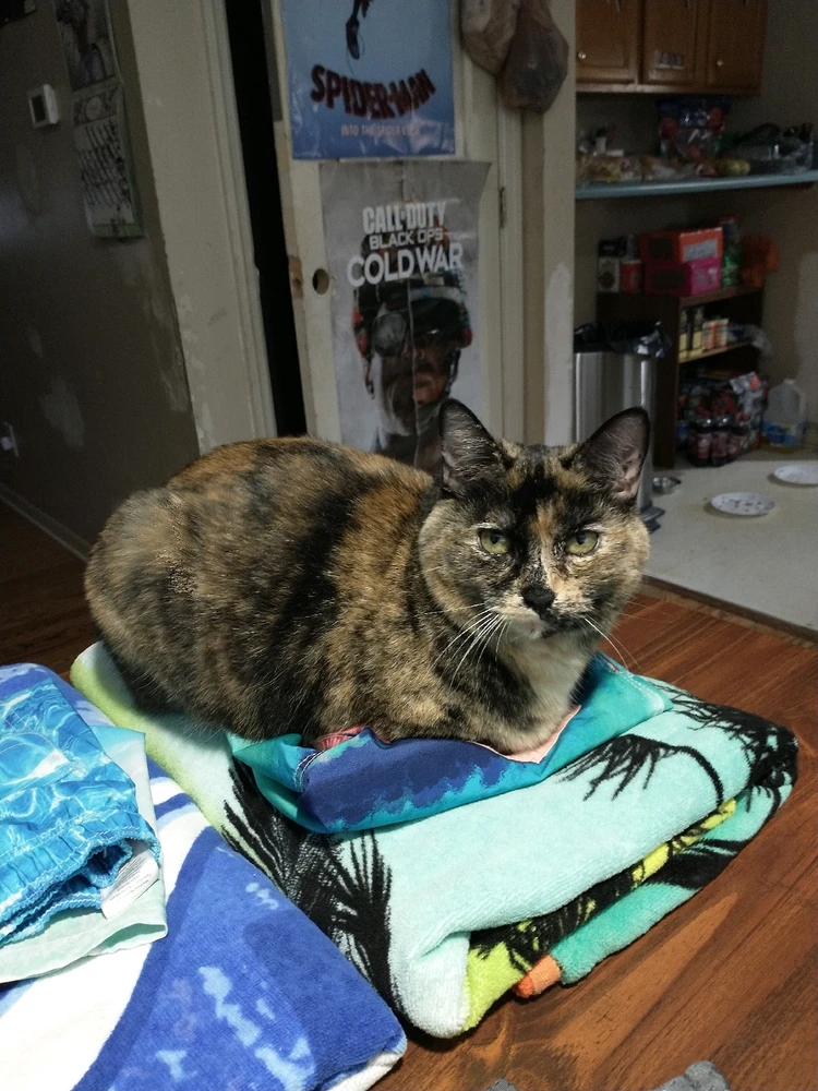 Imagen subida por Aiden