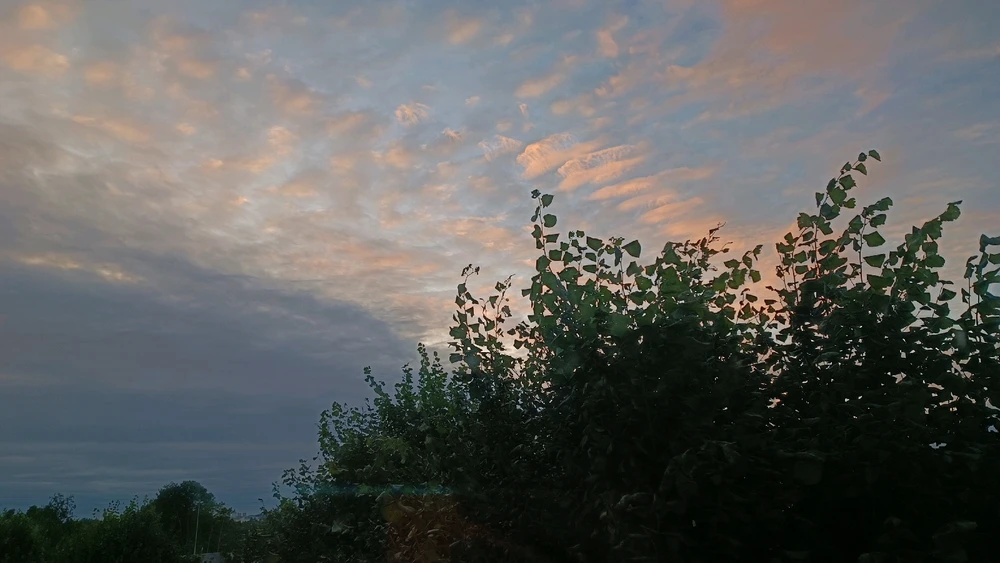 Image ajoutée par Mina