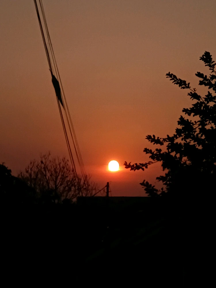 Gambar diunggah oleh Alya