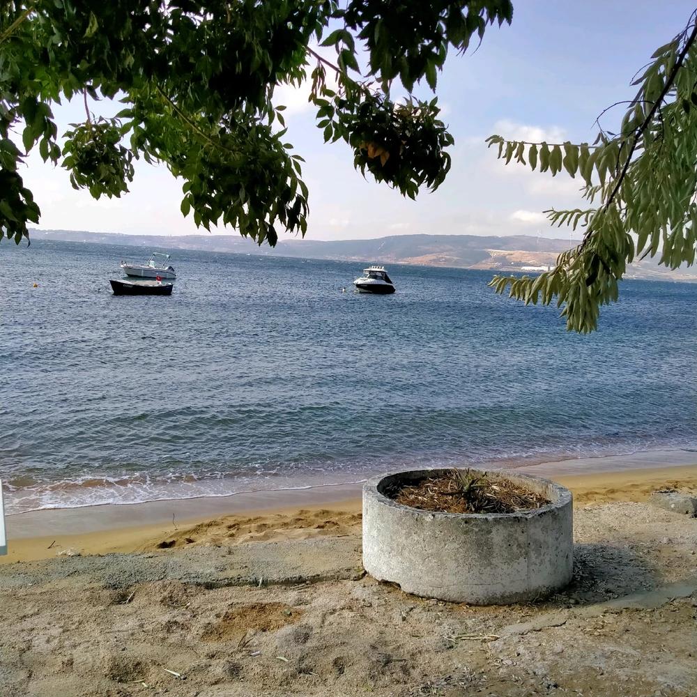 Çağatay tarafından yüklenen görsel