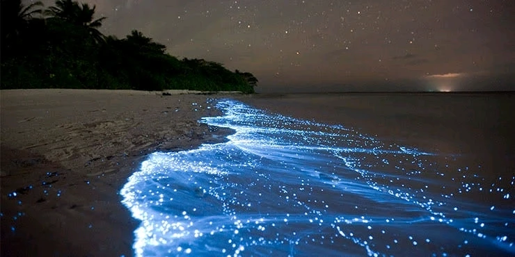 Image uploaded by Mru