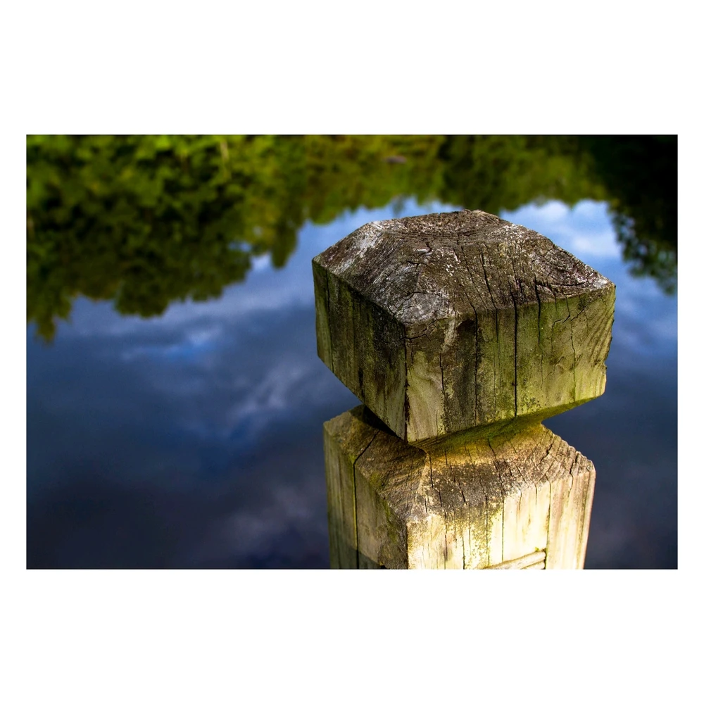 Image uploaded by Matt