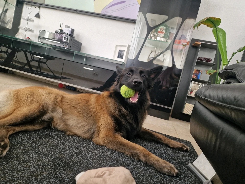 Bild hochgeladen von Dennis