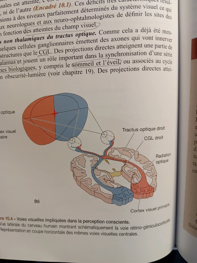 Image ajoutée par Sg1
