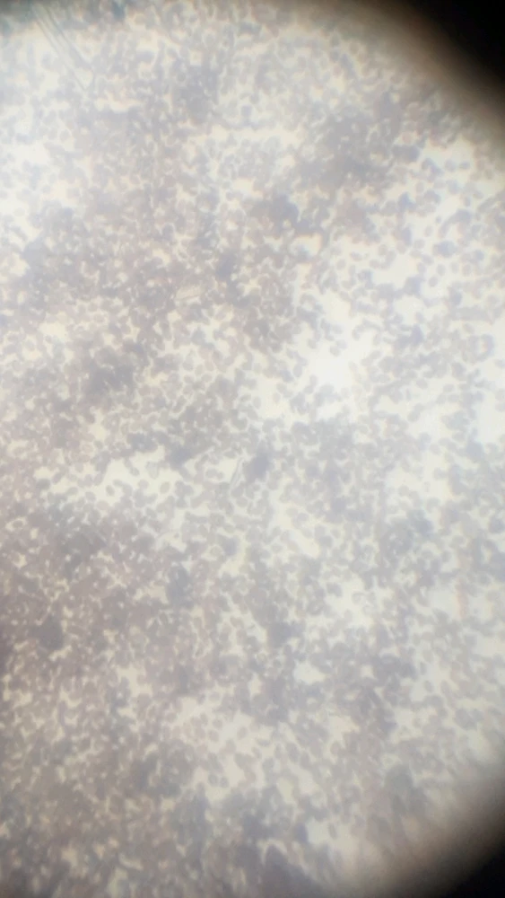 Image uploaded by Jesse