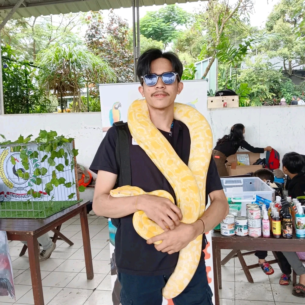 Gambar diunggah oleh Jojo